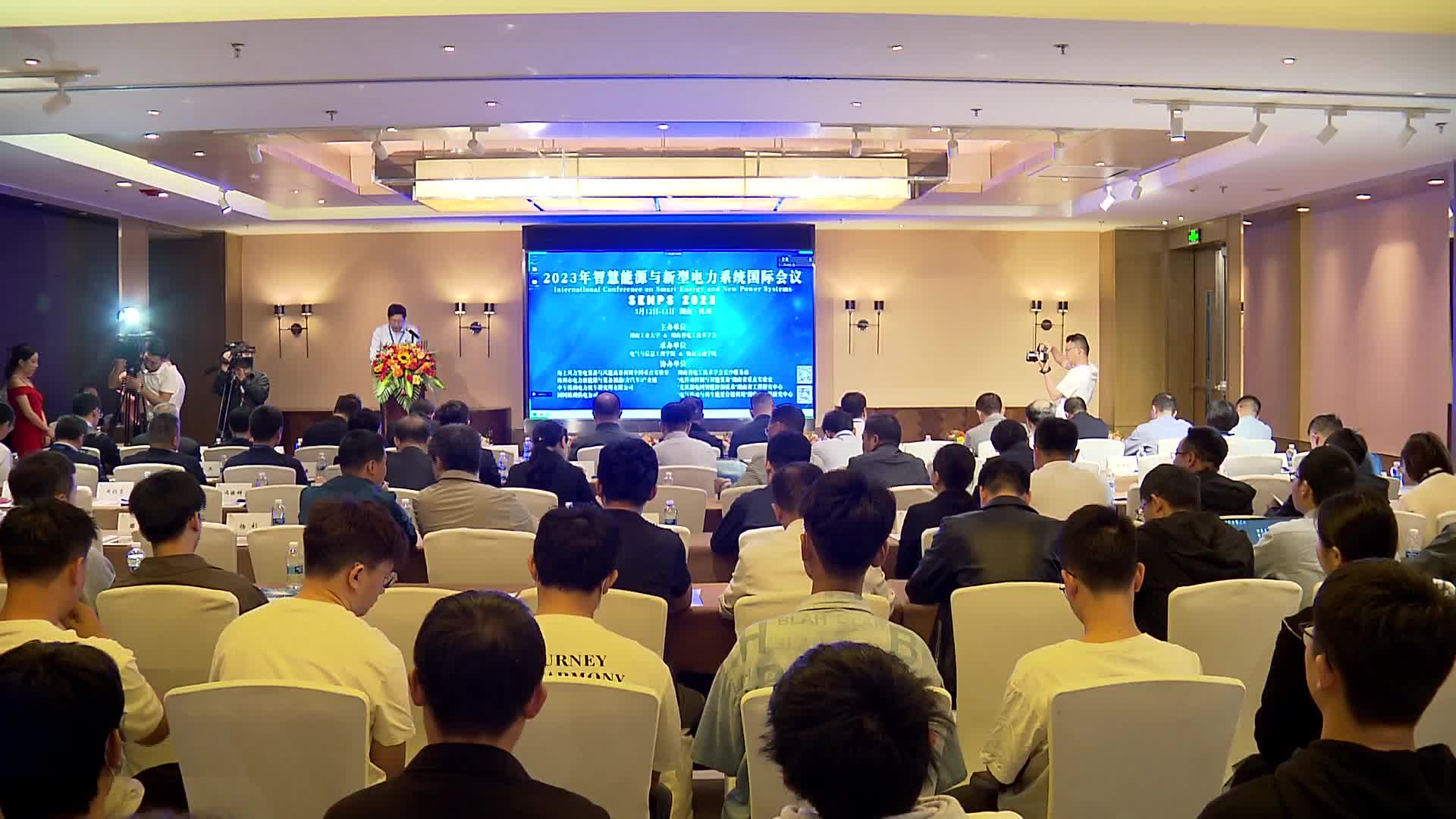 智慧能源与新型电力系统国际会议在株洲举行