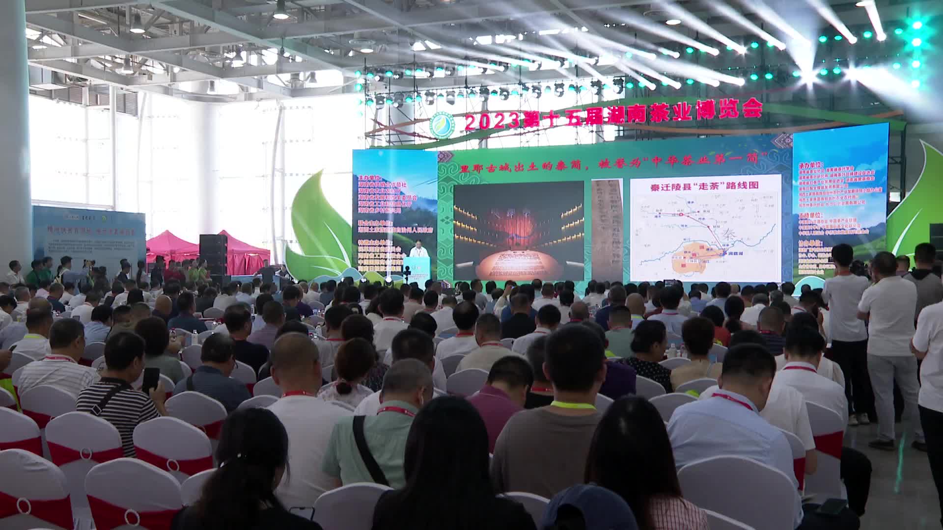 第十五届湖南茶业博览会举行