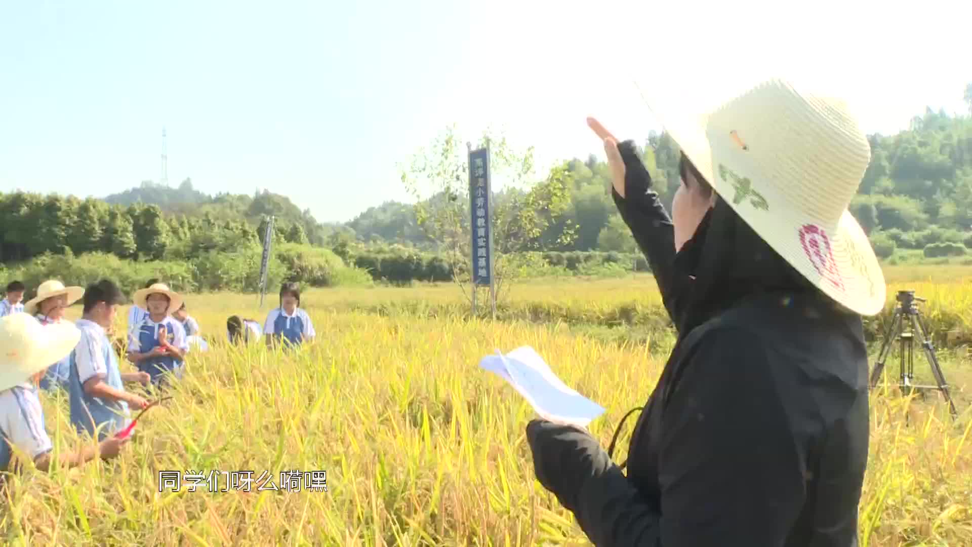 浏阳：把课堂搬进田野 让学生读懂“稻”理