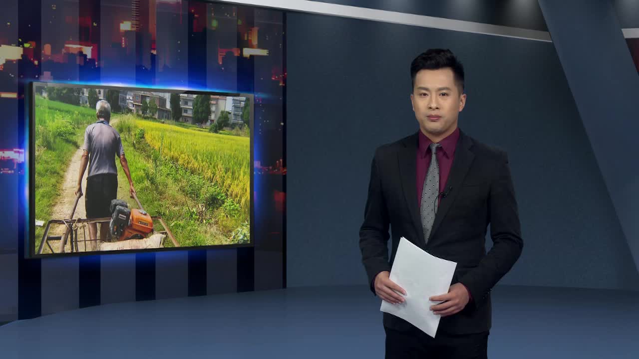 图片背后的故事之一：外公的背影