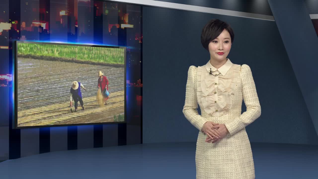 图片背后的故事之三：播撒
