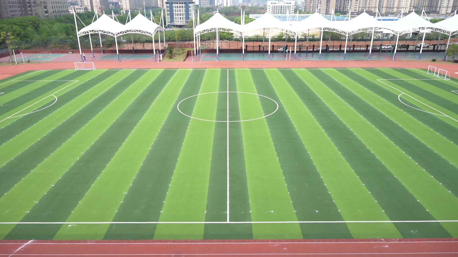 株洲市二中莲花中学——莲花盛绽，活力飞扬