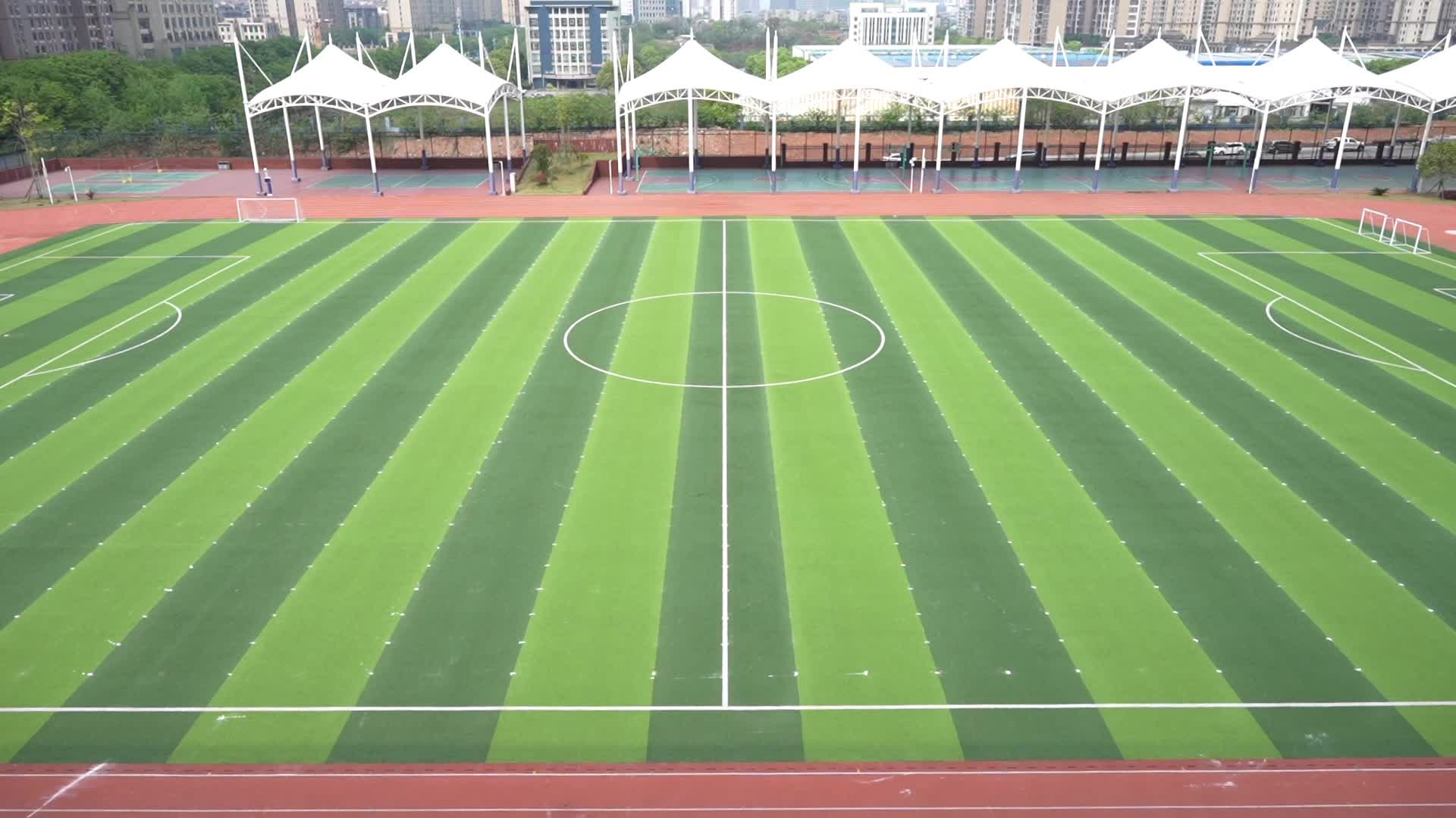 株洲市二中莲花中学——莲花盛绽，活力飞扬