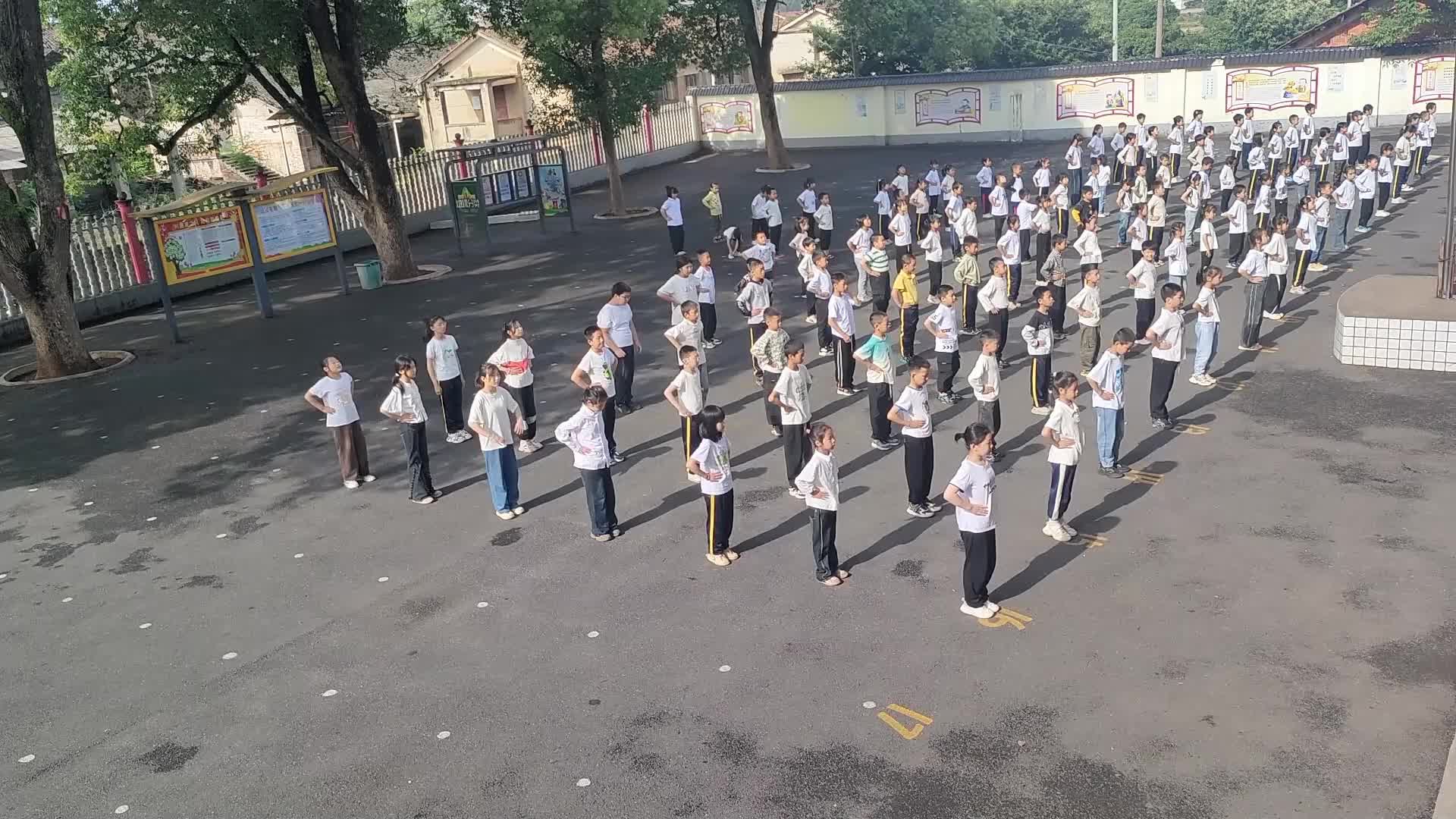 株洲市渌口区古岳峰镇向阳小学——诗韵动芳华