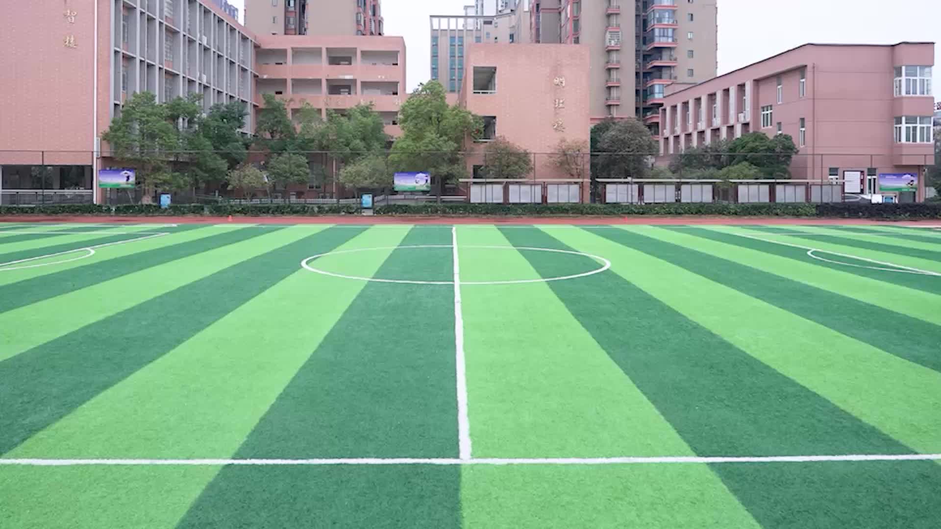 宁乡市城郊街道三联小学——阳光跃动，快乐成长