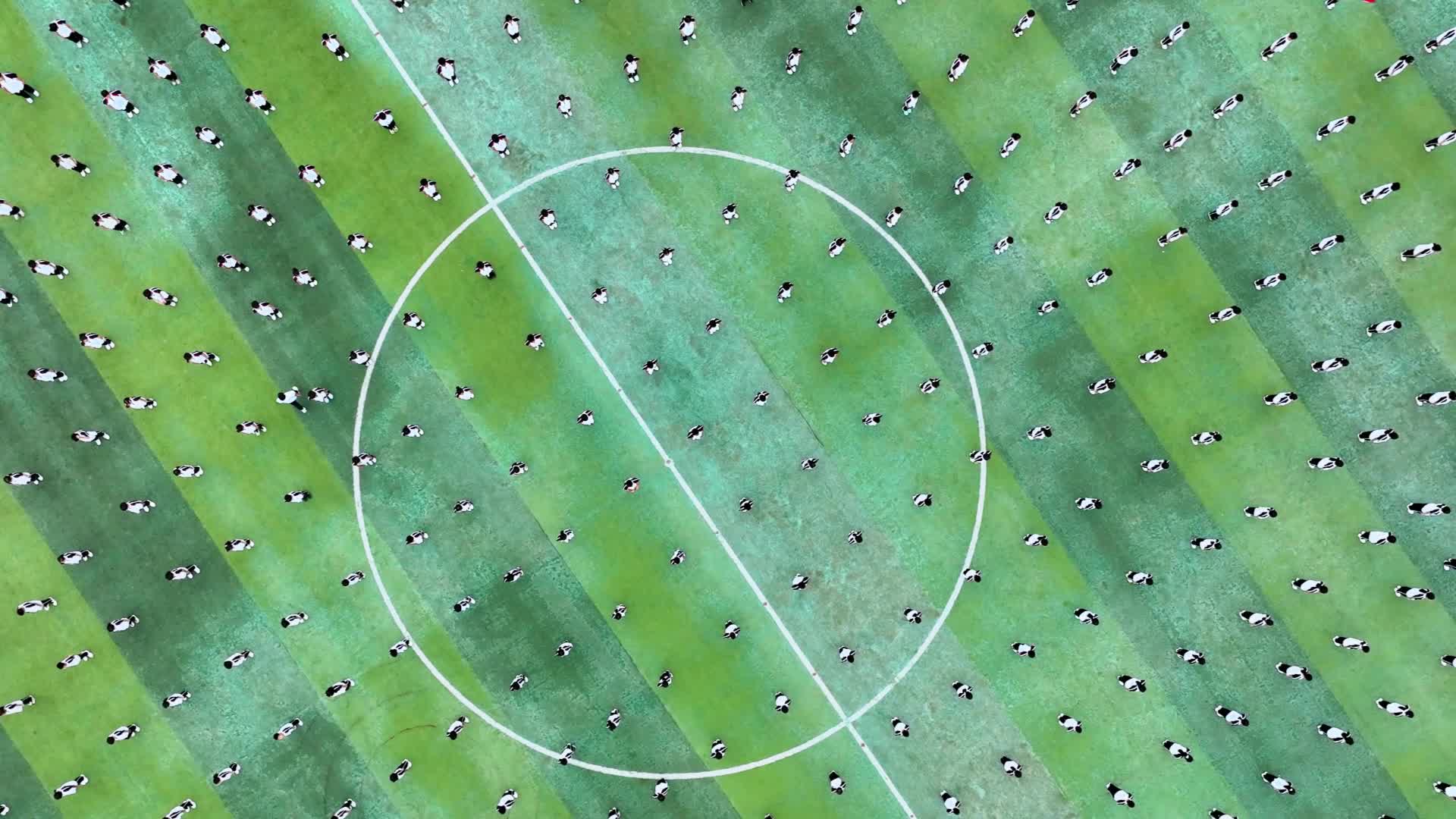 常德市澧县澧州实验学校——《劲跑·武韵·智梯·沐光》