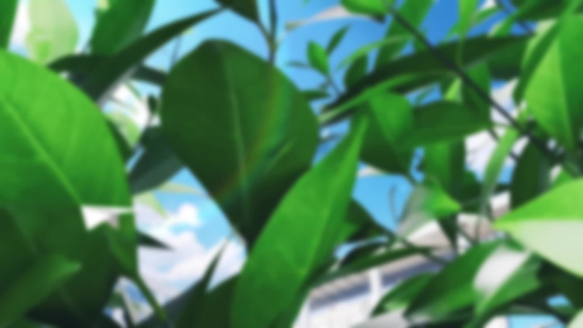 常德市澧县澧州实验学校——《劲跑·武韵·智梯·沐光》