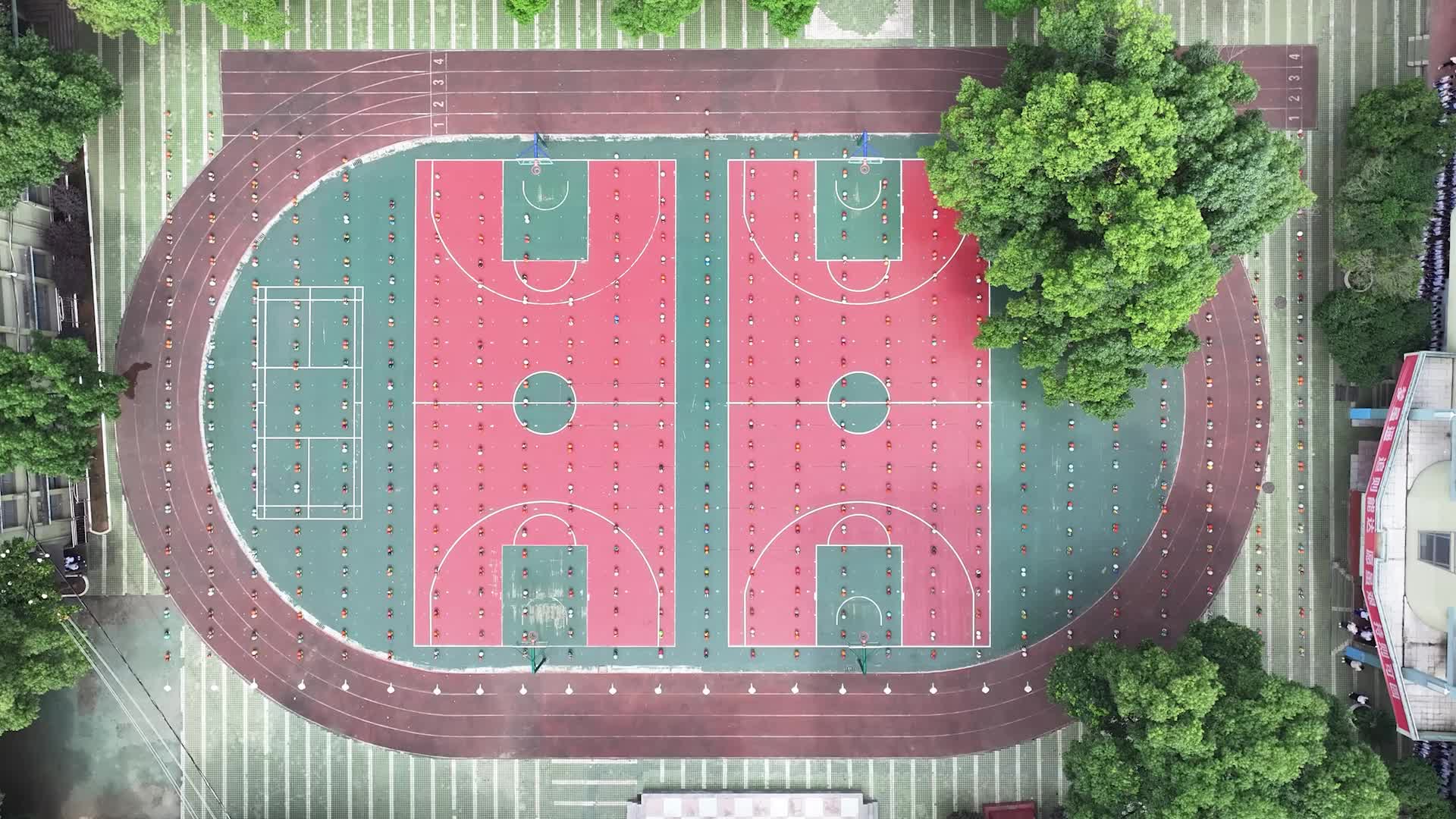 株洲市芦淞区樟树坪小学——阳光少年•“篮”动校园