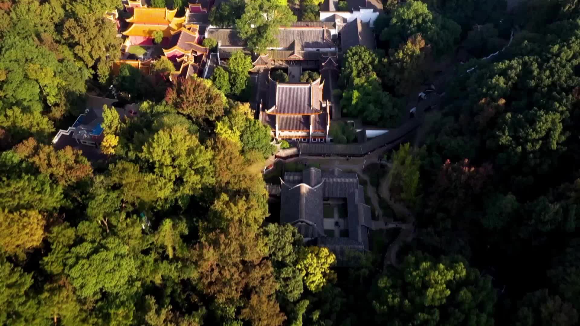 2025第十届青少儿电视才艺展演第26集