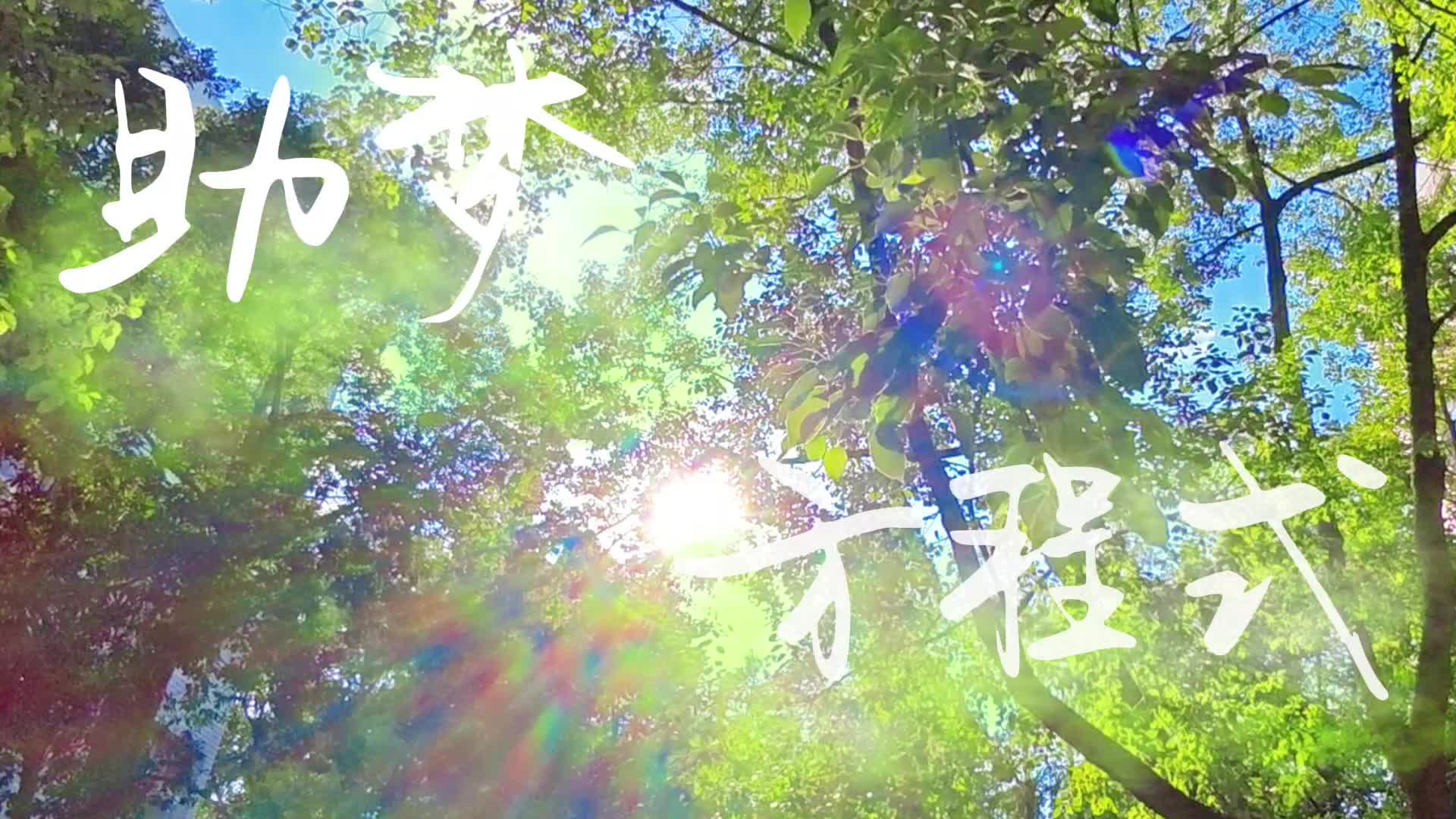 “润心・润梦・润人”学生资助宣传作品大赛优秀作品展播——《助梦方程式》