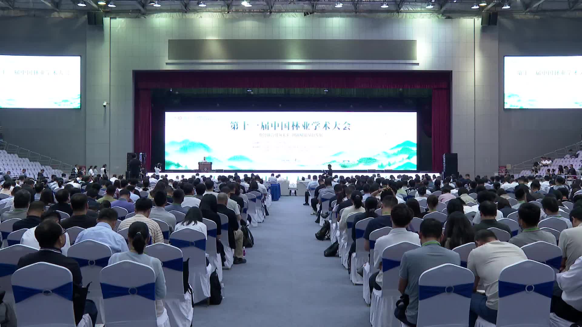 院士专家齐聚长沙 共探创新赋能绿色发展