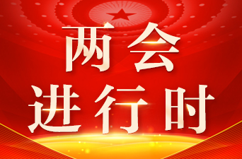 湖南代表团举行第三次全体会议 审议政府工作报告