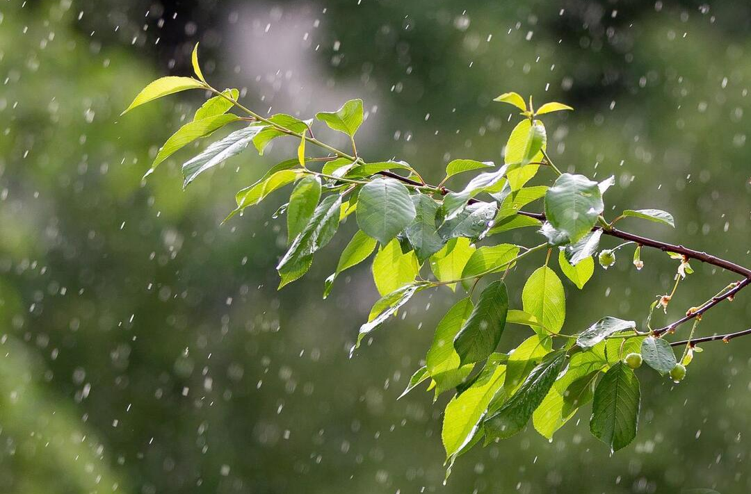 湖南发布今年首个暴雨预警！