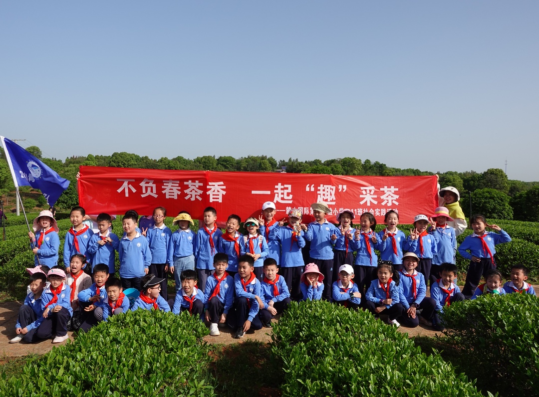 大自然课堂丨劳动生童趣，“小小茶农”采茶制茶忙
