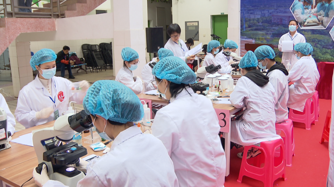 大学生比拼动物医学技能