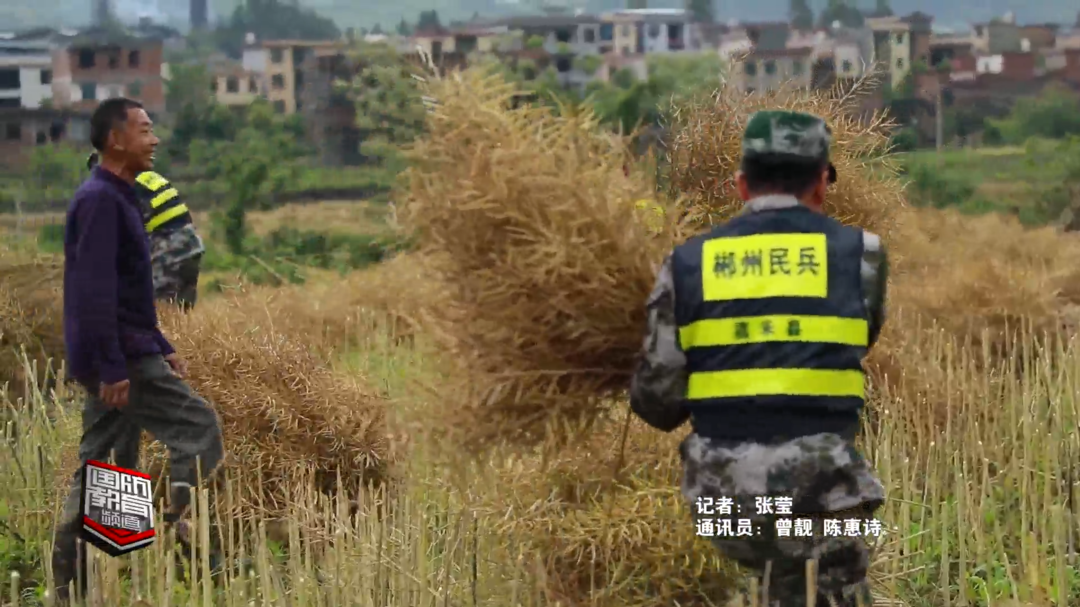 郴州嘉禾：为民办实事 民兵助农忙