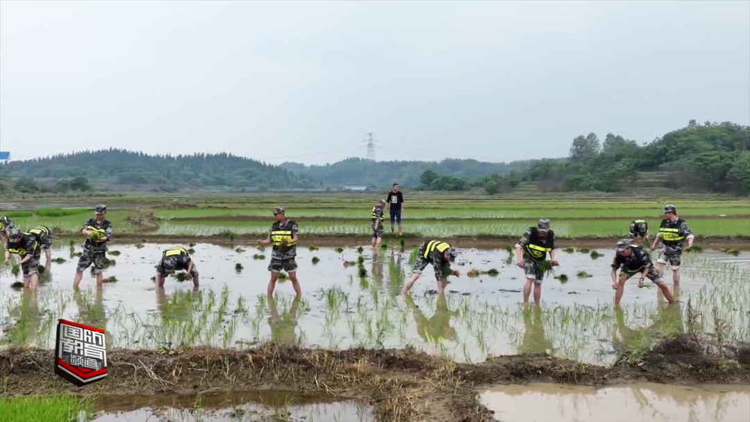 永州市冷水滩区：抢抓农时解民忧 军民齐心插秧忙