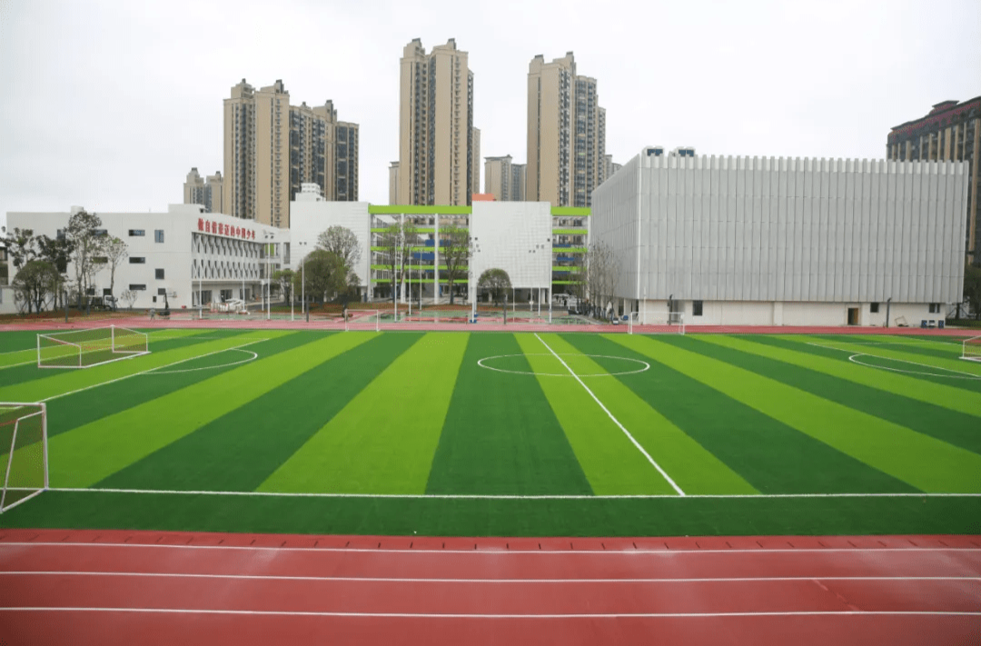 招生区域怎么划分？如何报名？常德市14个问答详解中心城区义务教育学校招生政策