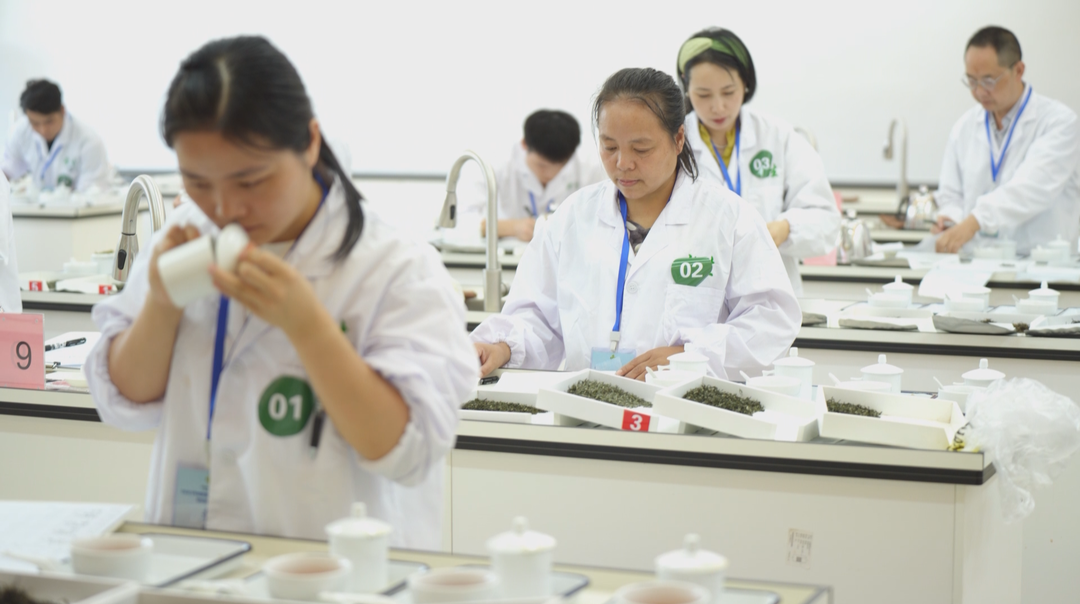 2023年湖南省评茶师和调饮师职业技能竞赛开幕