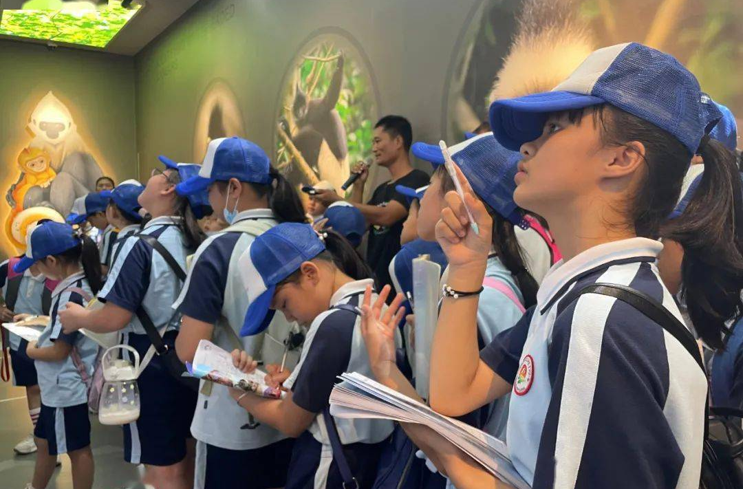 “寓教于学”的暑期研学游,如何才能名副其实?