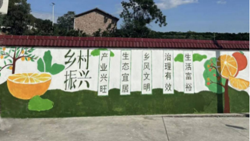 湖南国防职院“三下乡”实践团服务乡村 助力振兴