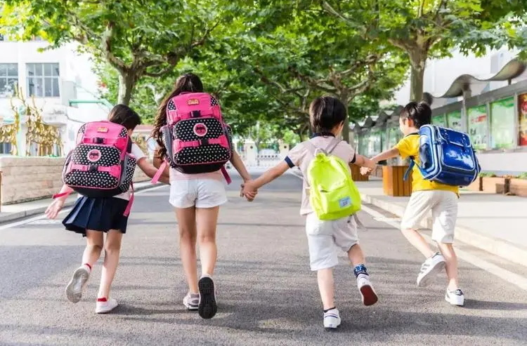 2023年常德市中心城区公办小学一年级招生工作安排