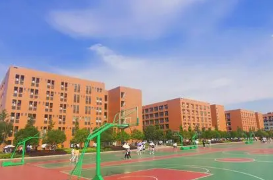 8月1日开始报名！怀化市主城区公办学校秋季学期转学（小升初）报名须知来了!