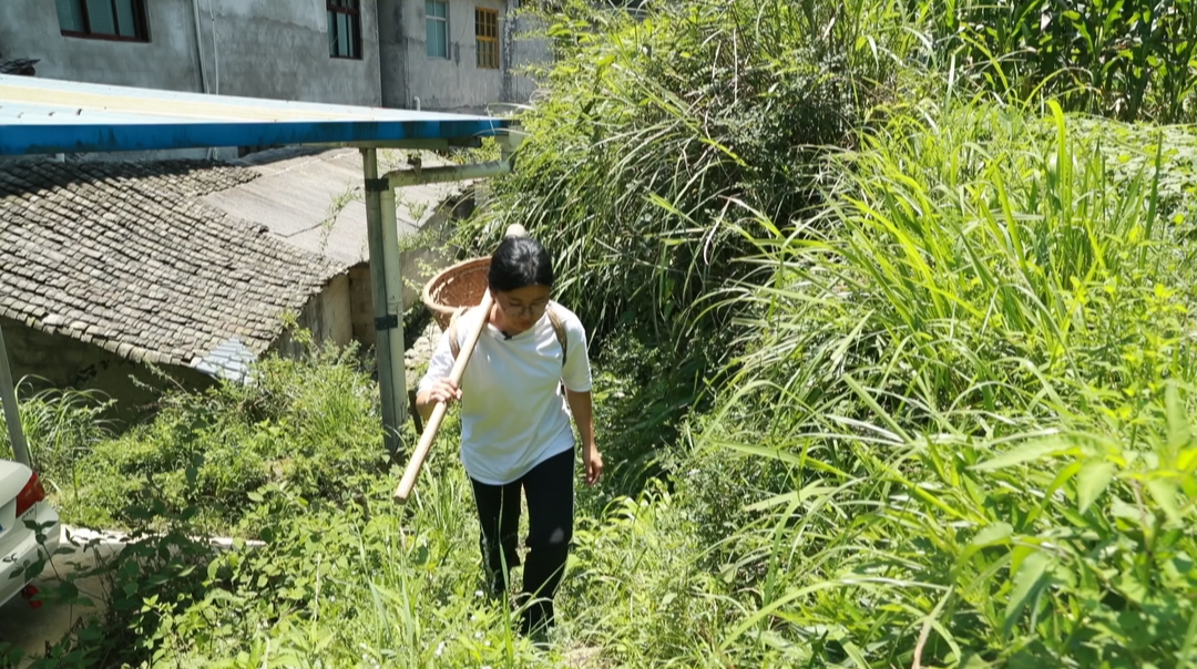 “湘窖•我的大学梦”（二）：大山女孩的外交官梦