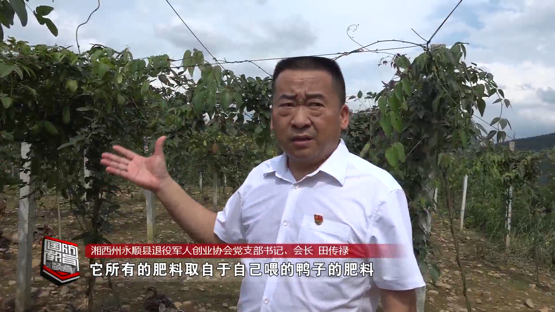 最美退役军人——田传禄：带领退役军人创业 带动群众增收致富