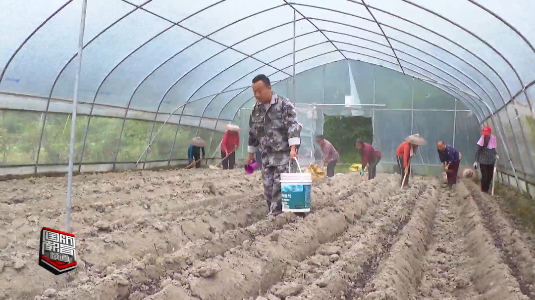 退役军人时雪亭：用小草莓带动农旅融合发展