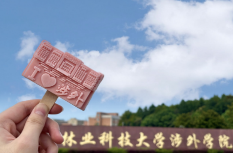 文创雪糕、定制礼包、专车接送……湖南高校创意“宠”新