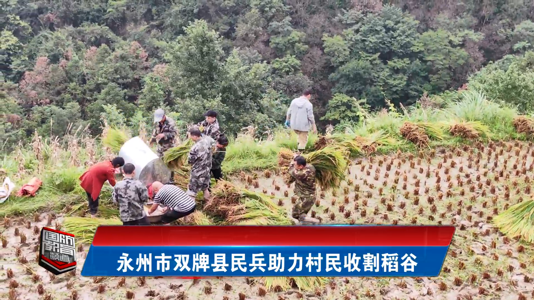 永州市双牌县民兵助力村民收割稻谷