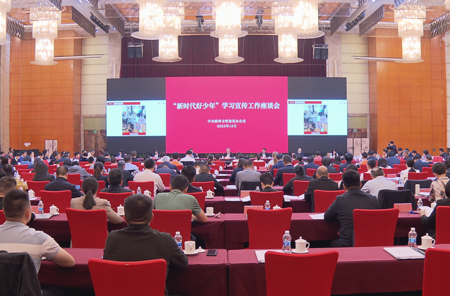 全国“新时代好少年”学习宣传工作座谈会召开