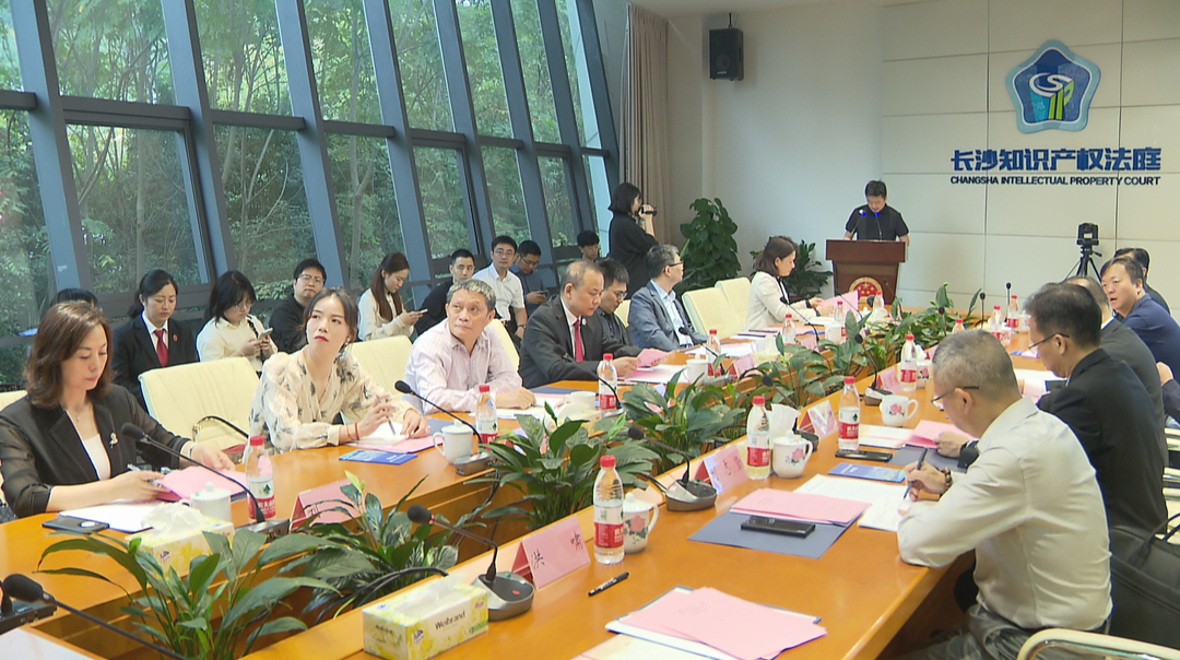 全力建设全球研发中心城市知识产权司法保护研讨会召开