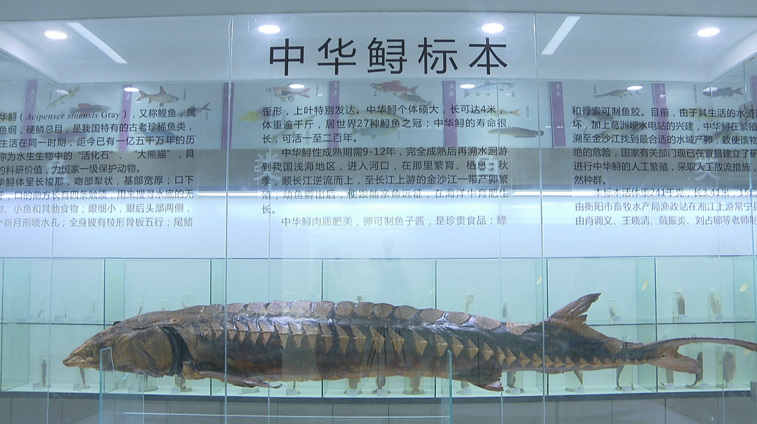 湖南农业大学免费开放8个科学文化场馆
