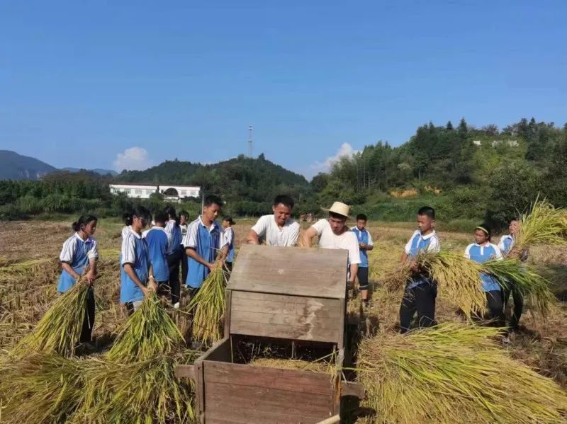 稻子弯了，瓜果熟了，在田野里长沙学生上好了这一课！