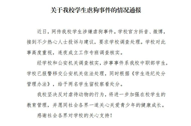 学校通报男生在寝室用棍棒虐狗，一句“严肃处理”就完了？