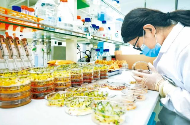 让更多年轻人站上研发前台，还要破除哪些“拦路虎”？