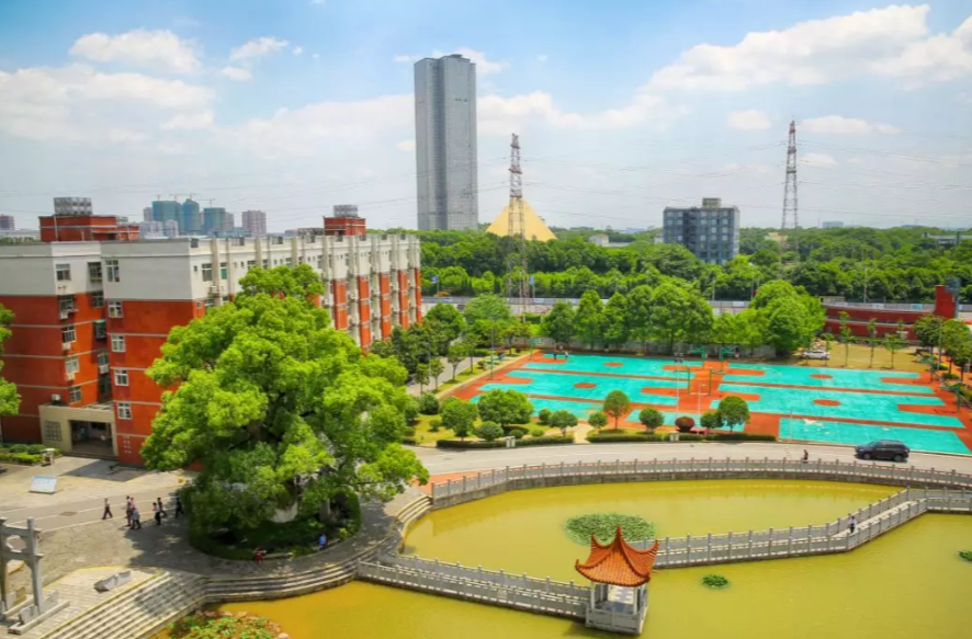 ​有编制！长沙县公开引进人才50人！11月14日起可以报名了！