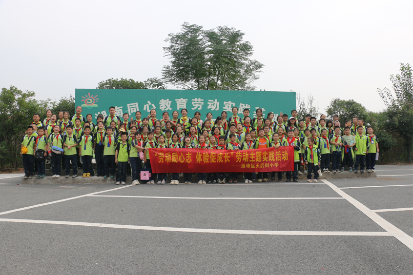 衡阳：小学生走进田间“撒欢” 感受劳动魅力