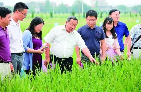 湖南农业大学：打造“思政+三农+艺术”特色名片