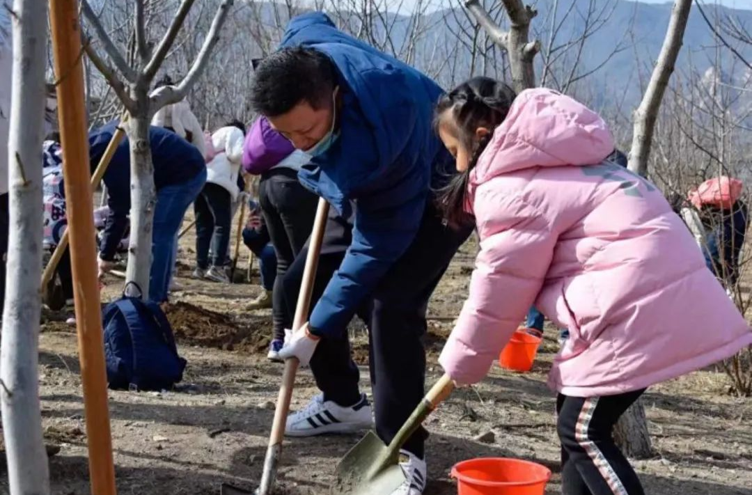 中小学生志愿服务时长竟能花钱买？还真能买到，而且不便宜……