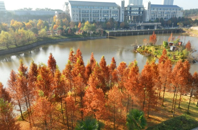 南华大学：冬日校园美如画