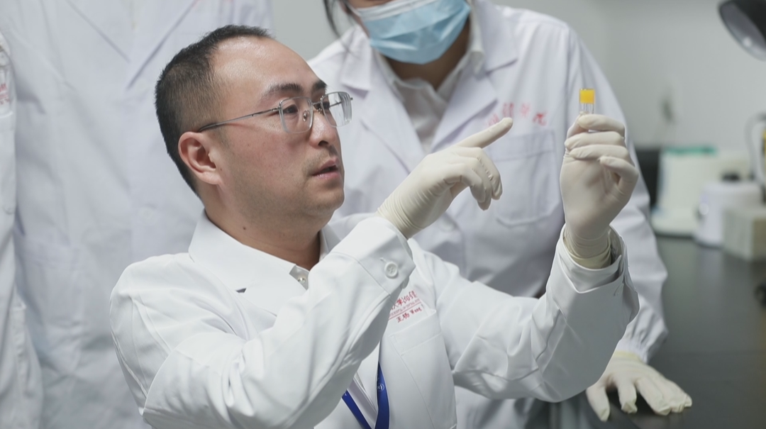 科技先锋·王杨：“从瘀论治”出血性脑病 医工结合提疗效