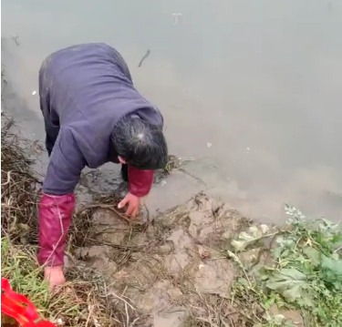 点赞！湖南人文科技学院学子勇救落水老人