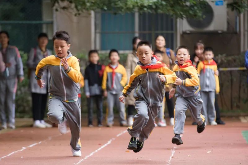 株洲市芦淞区：课上课后协同 校内校外发力