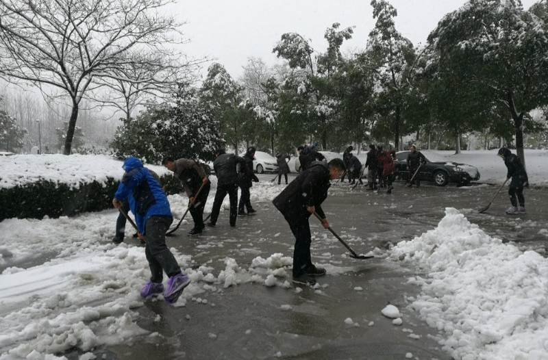 关于动员全省广大团员和青年积极投身参与防范应对低温雨雪冰冻灾害的倡议书