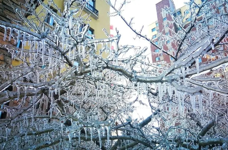 冰冻黄色预警！今日湖南湖北等7省市部分地区有冻雨