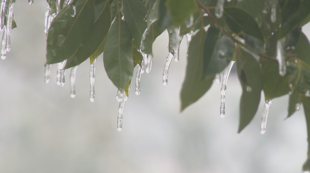 美丽“冻”人的冰雪校园