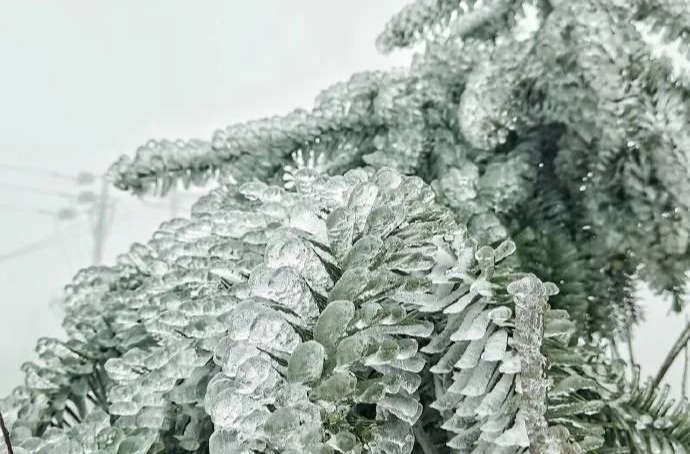 湖南近50年来最强寒潮！大雪+冻雨还要持续多久？最新预报→